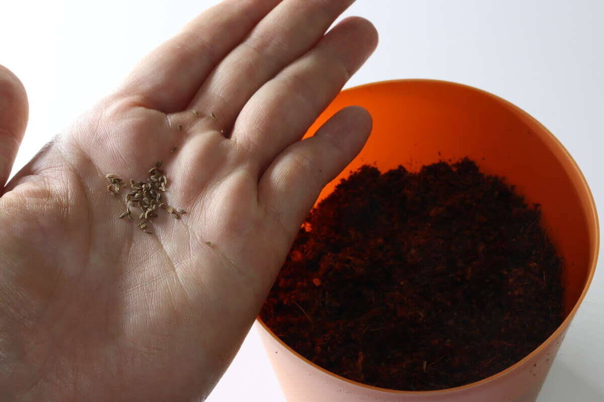 300円は震えた！「ホムセンで高いの買おうとしてた…」コスパが良すぎるお得セット