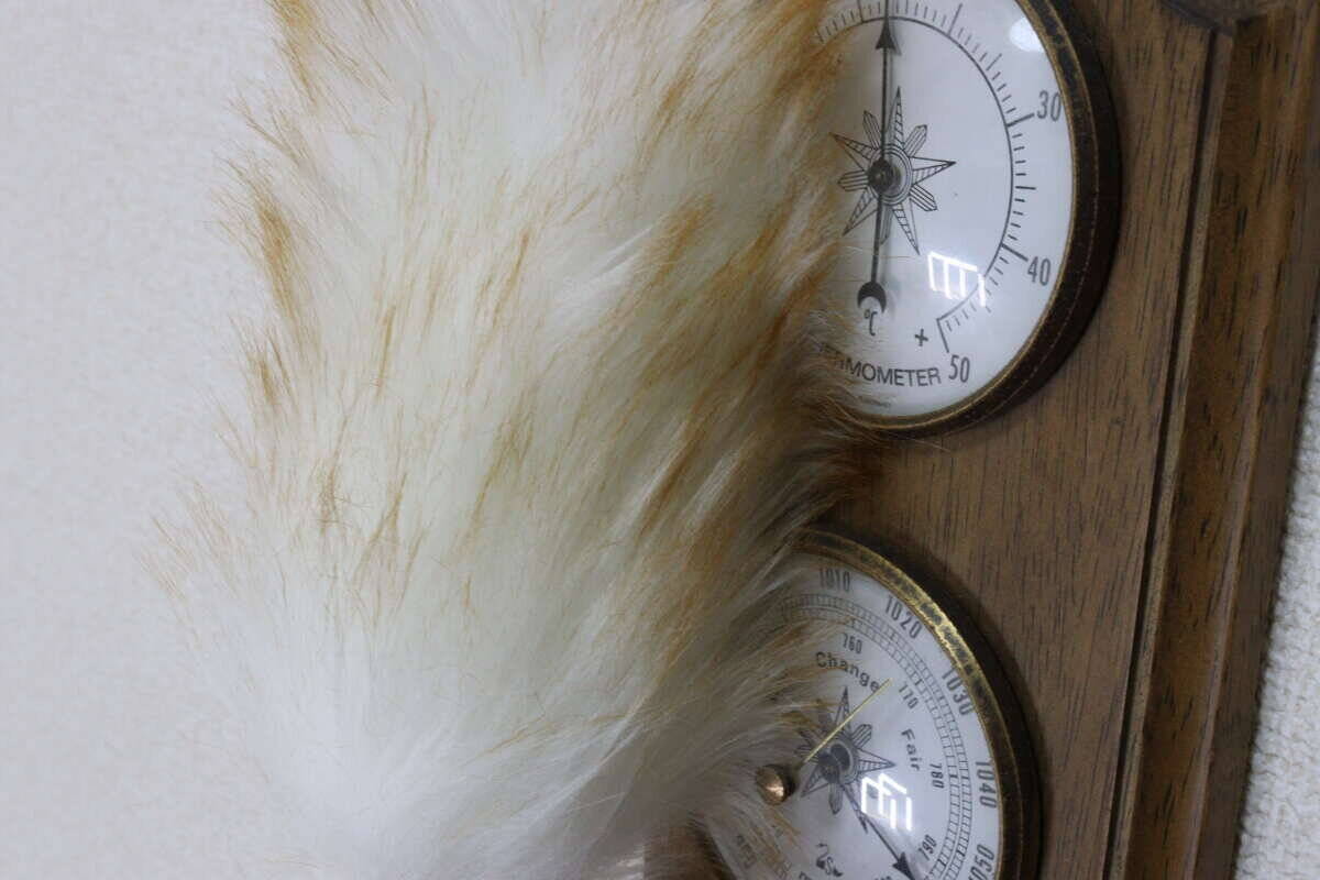 まさかセリアにあるなんて♡「他所だと2,000円近くするのに…！」おしゃれすぎる掃除グッズ