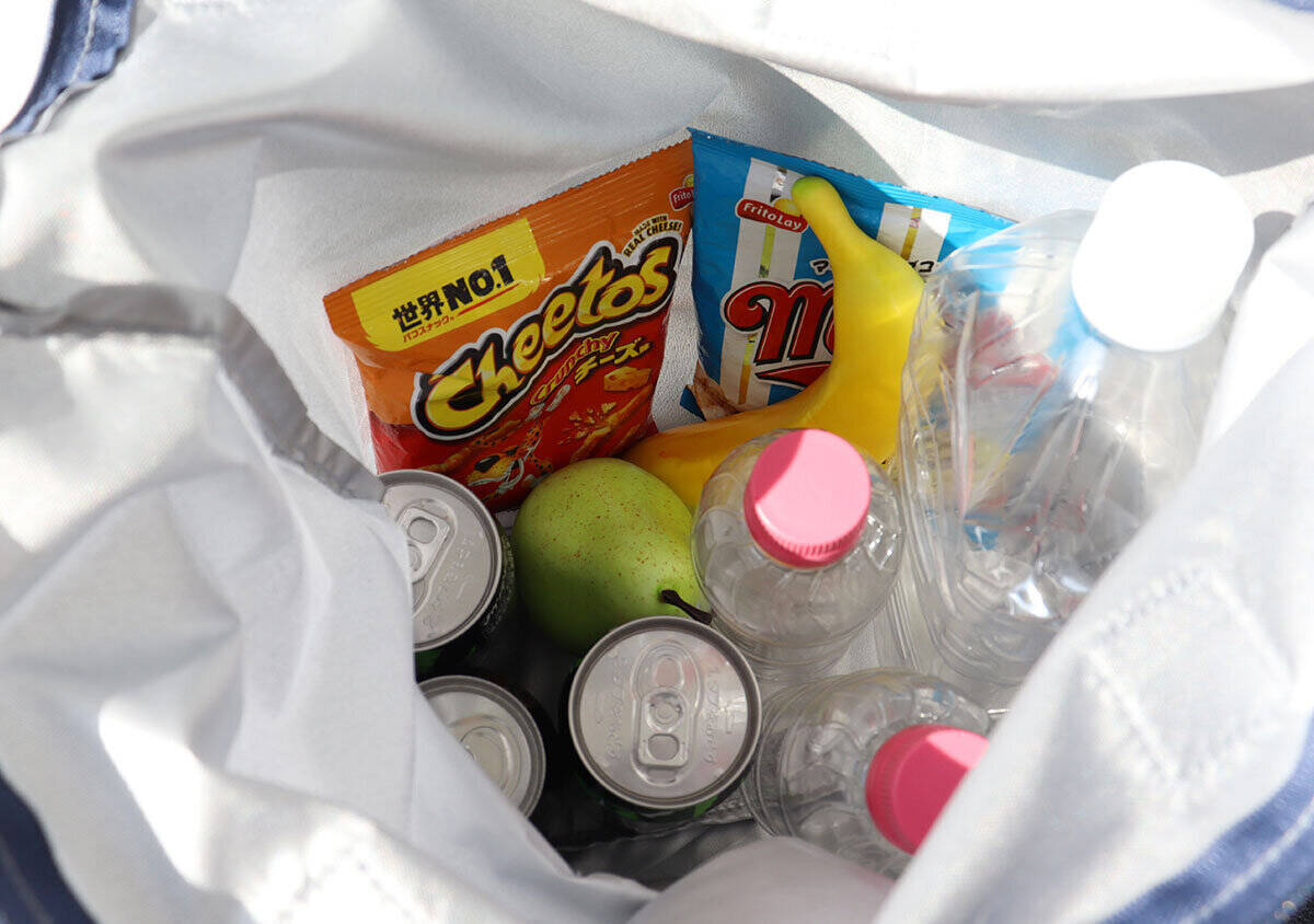 InRed5月号付録が豪華すぎ！専門店で買ったらいくらするの！？高見えコールマンバッグ