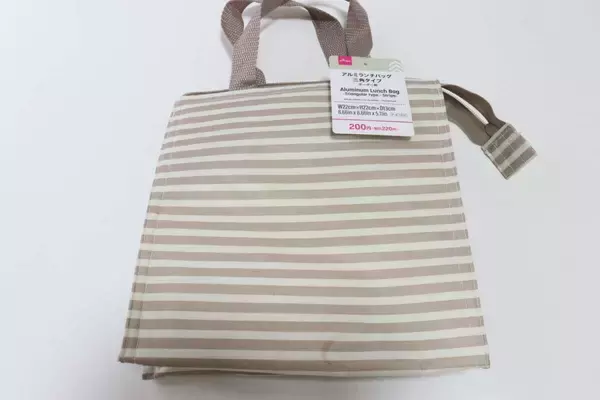 黙ってれば100均ってバレない！「こういうのがいいんだよ…！」シンプルで使いやすいバッグ