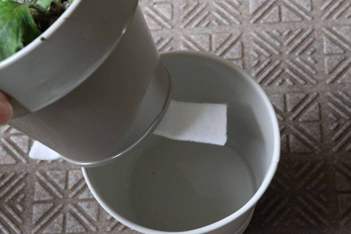 100均でここまで本格的な商品売ってるんだ！？お手入れが激減！見た目もお洒落な園芸グッズ