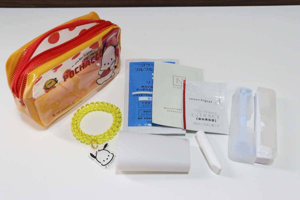 可愛いだけじゃないのね♡アイテムを組み合わせると…？外出先でも使いやすい100均ポーチ