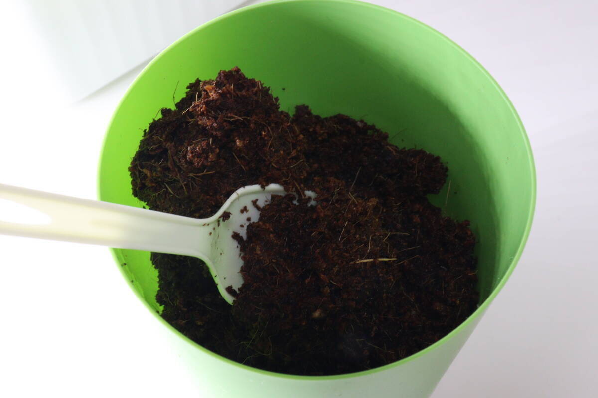 「100均で買えるってウソでしょ？！」千円覚悟がまさかの300円！即買いしたキット