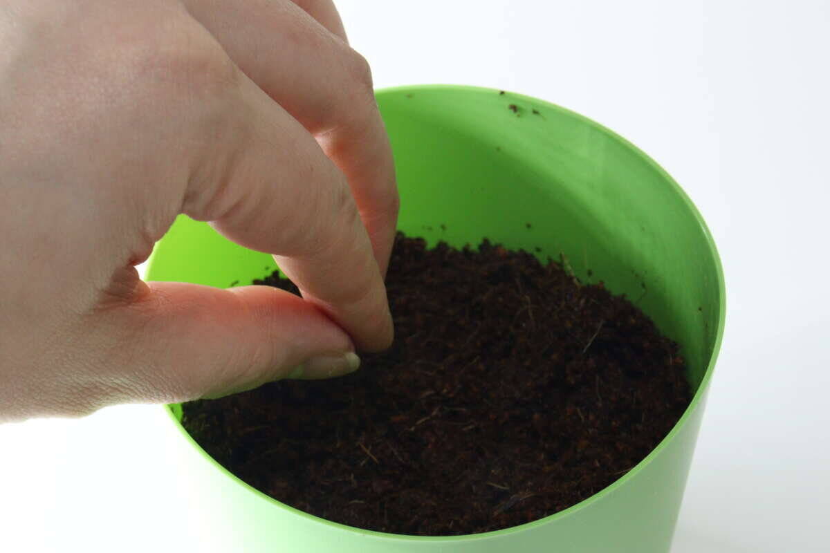 「100均で買えるってウソでしょ？！」千円覚悟がまさかの300円！即買いしたキット