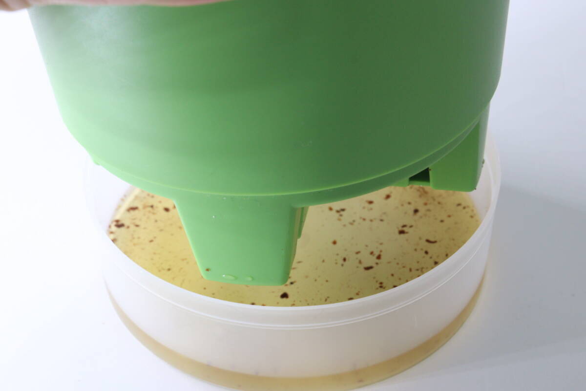 「100均で買えるってウソでしょ？！」千円覚悟がまさかの300円！即買いしたキット