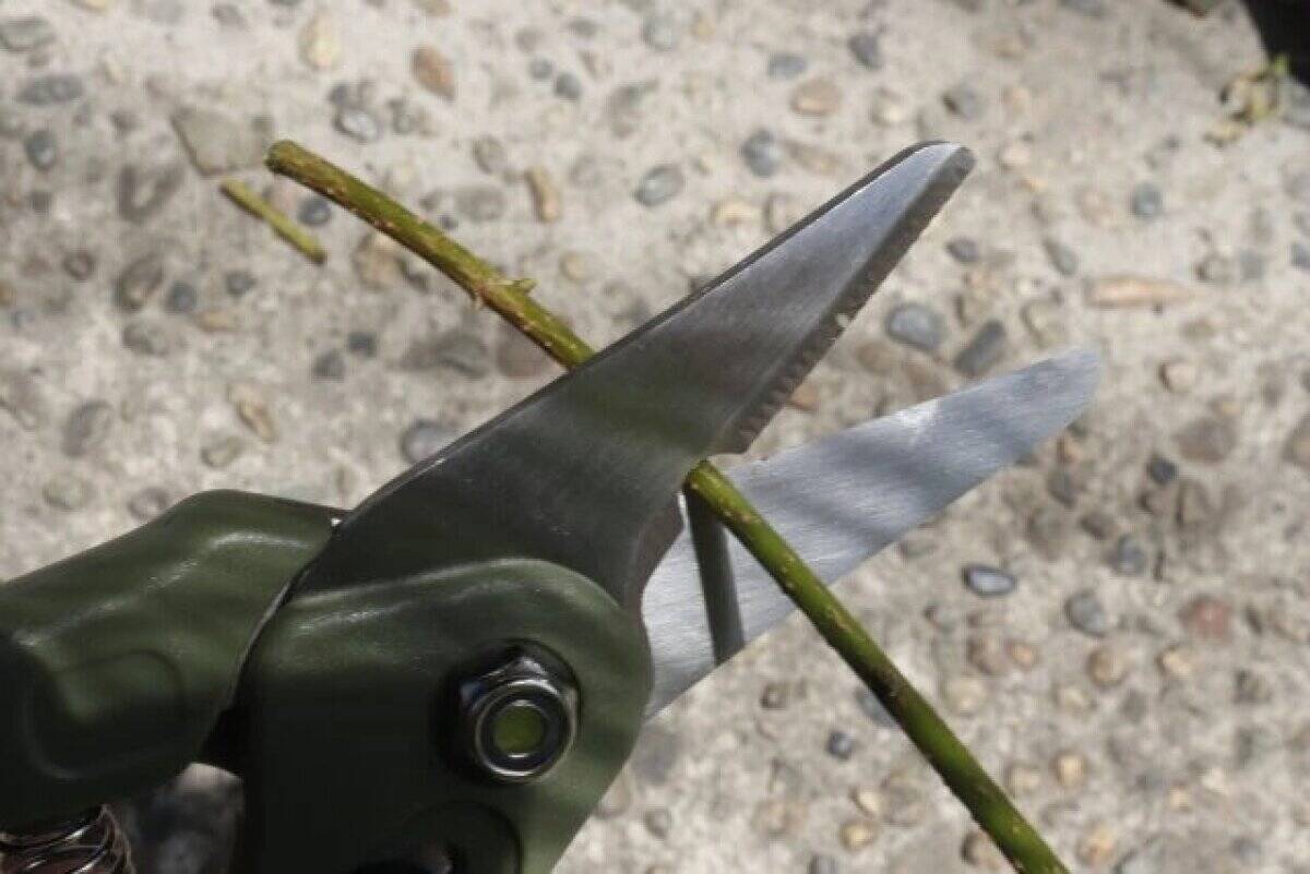 先に100均見といてよかった！ホムセンじゃこの値段で買えない♡マニアも激推しの便利グッズ