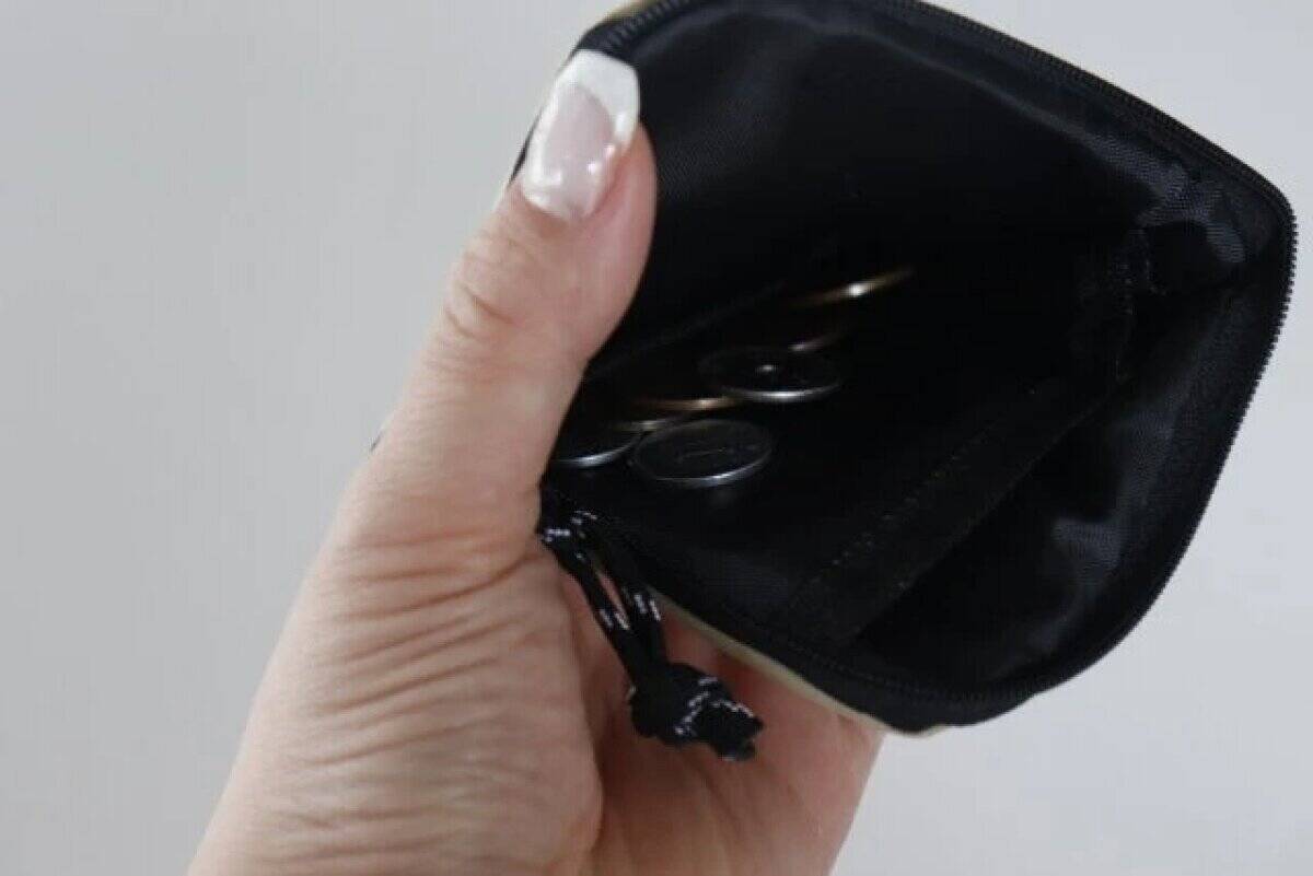 100均ですごい商品見つけた♡「普通の財布？」と思って舐めてました…買ってよかった優秀商品