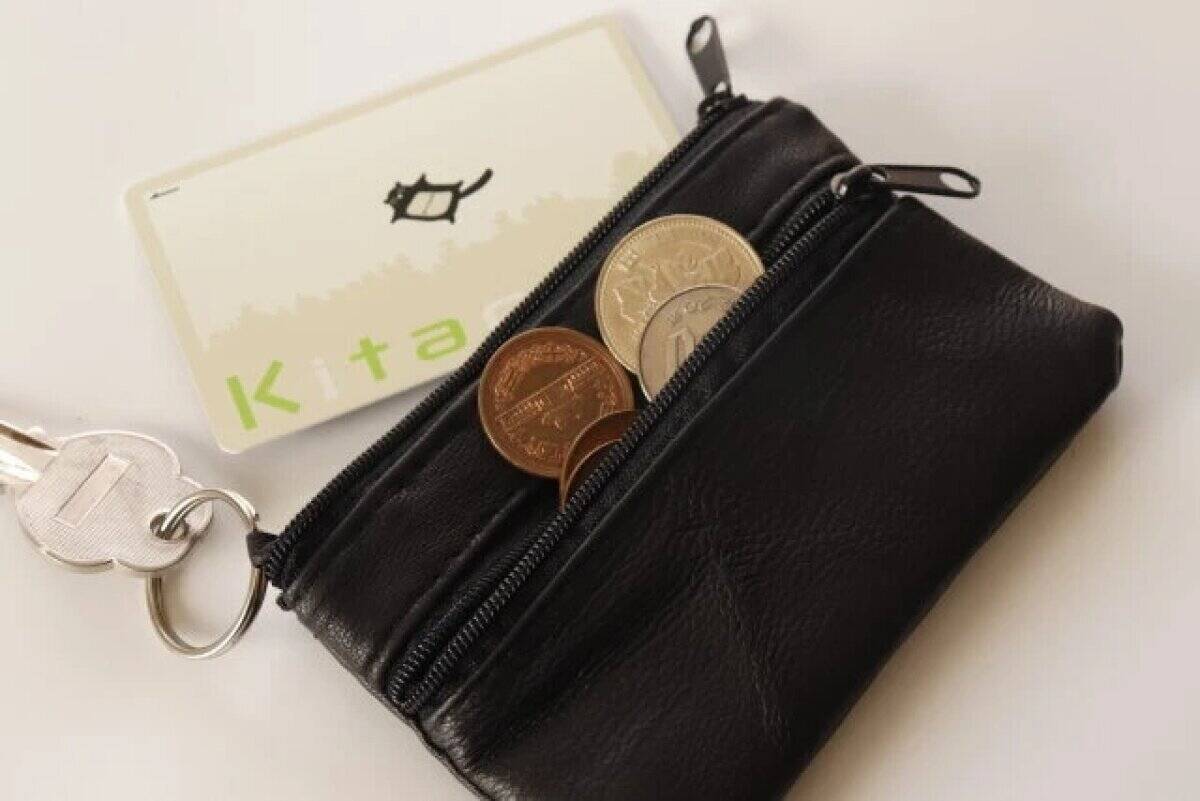 100均ですごい商品見つけた♡「普通の財布？」と思って舐めてました…買ってよかった優秀商品