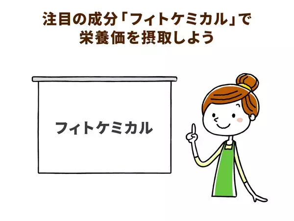高齢者の夏バテ防止に！管理栄養士直伝　簡単さっぱりレシピ３選