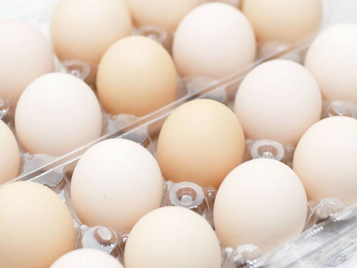 コストコの たまご サイズミックス 個 はどうなの 味やコスパをチェックしてみた 年2月14日 エキサイトニュース