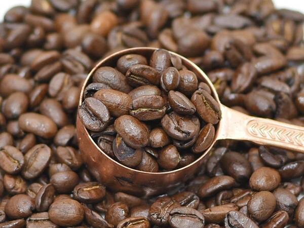 コストコのコーヒー豆 オーガニック ホールビーンブレンド はどんな人におすすめ 味傾向やコスパをチェックしてみた 年3月10日 エキサイトニュース