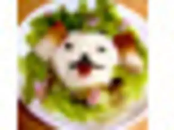 「毎日の朝食やおやつにぴったり！『シリアル』の 「おすすめ」人気ランキングTOP3」の画像