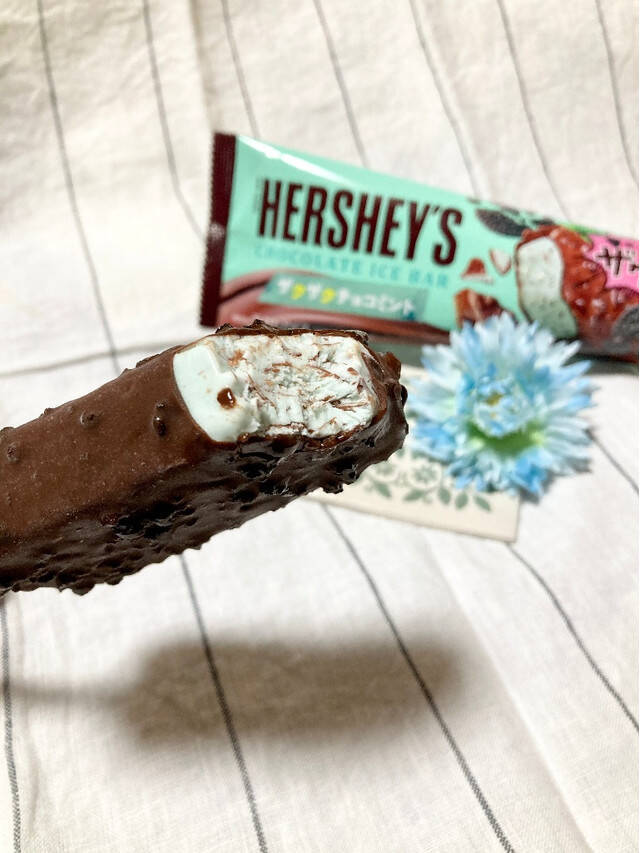 暑い日におすすめ！チョコミントアイスのトレンド人気ランキング！