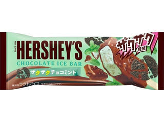 暑い日におすすめ！チョコミントアイスのトレンド人気ランキング！