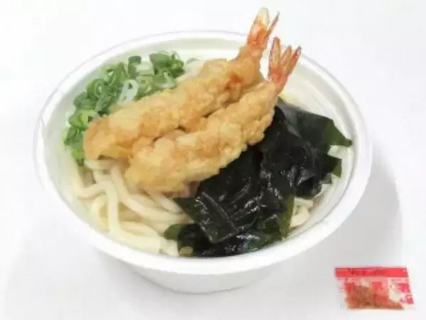 「今週新発売のうどんまとめ！『ぶっかけ牛肉うどん』、『肉うどん』など♪」の画像