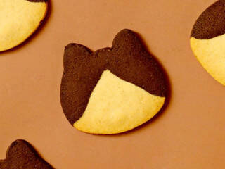 今週新発売のココア味まとめ！『はちわれクッキー』、『はちわれクッキー　ブラックココア』など♪