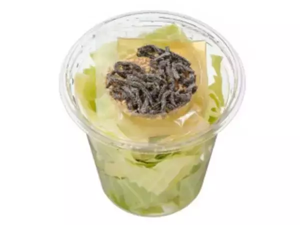 「今週新発売の塩◯◯まとめ！『ポリンキー　えび塩』、『ゆず塩ラーメンサラダ』など♪」の画像