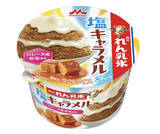 「今週新発売の塩◯◯まとめ！『森永れん乳氷　塩キャラメル』、『プレミアムガーナ　サブレショコラ　ソルティバター』など♪」の画像2