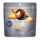 「今週新発売の濃厚な食べものまとめ！『ピノ　濃厚ティラミス』、『グラコロ』など♪」の画像11