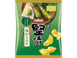 「【2026年5月下旬】ポテトチップス・スナックの新商品！堅あげ塩わさびやプリングルズ3倍濃厚など個性派ぞろいまとめ」の画像2