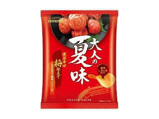 【2026年5月下旬】ポテトチップス・スナックの新商品！堅あげ塩わさびやプリングルズ3倍濃厚など個性派ぞろいまとめ