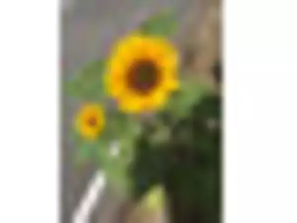 「【ベストフードアワード2021】ベスト冷凍食品 スイーツ部門人気TOP3！」の画像