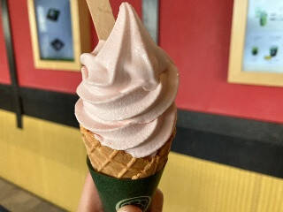 【2026年4月第1週】桜スイーツ総選挙！ドトール桜マフィンが首位獲得＆注目新商品も続々登場