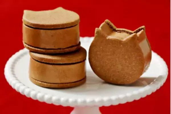 「今週新発売のココア味まとめ！『ザ　チョコパン』、『ねこねこバターサンド　オレンジショコラ』など♪」の画像