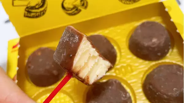 「濃密なチーズアイスがクセになる♡『チーズケーキ系アイス』の「おすすめ」人気ランキングTOP3」の画像