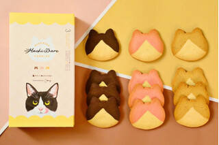 今週新発売のココア味まとめ！『ゼロ　くちどけショコラ』、『チョコトリュフのケーキ』など♪