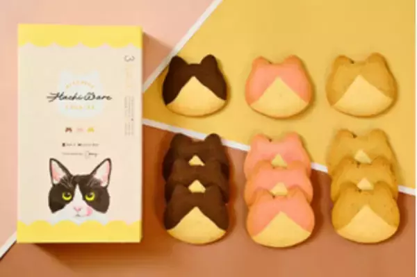 「今週新発売のココア味まとめ！『ゼロ　くちどけショコラ』、『チョコトリュフのケーキ』など♪」の画像