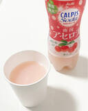 「暑さ対策！炭酸飲料のおすすめTOP3！」の画像3