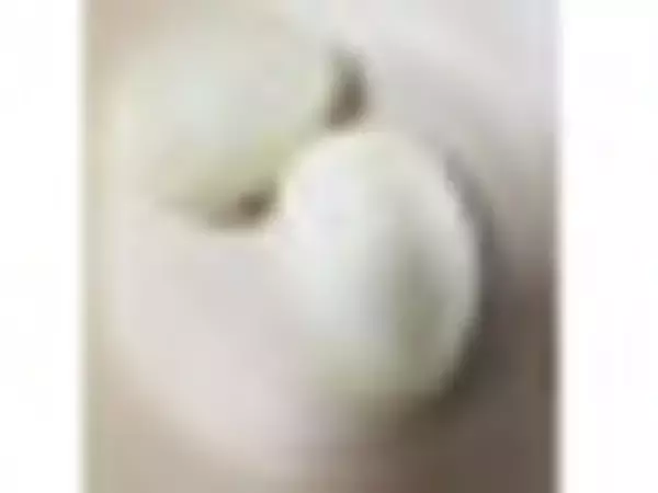 「果物を使ったアイスのトレンド人気ランキング！」の画像