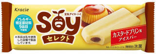 今週新発売のアイスクリーム