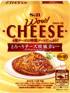 今週新発売のS＆Bまとめ！『ＷＯＷ！ＣＨＥＥＳＥ　とろ～りチーズ欧風カレー　中辛』、『ＷＯＷ！ＣＨＥＥＳＥ　濃厚チーズキーマカレー』など♪