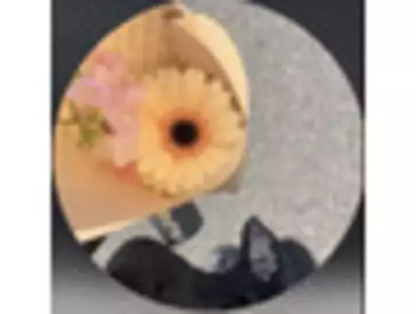 「セブンに次々咲き誇る！　パフェにクレープさくらスイーツ花盛り！：今週のコンビニスイーツランキング」の画像