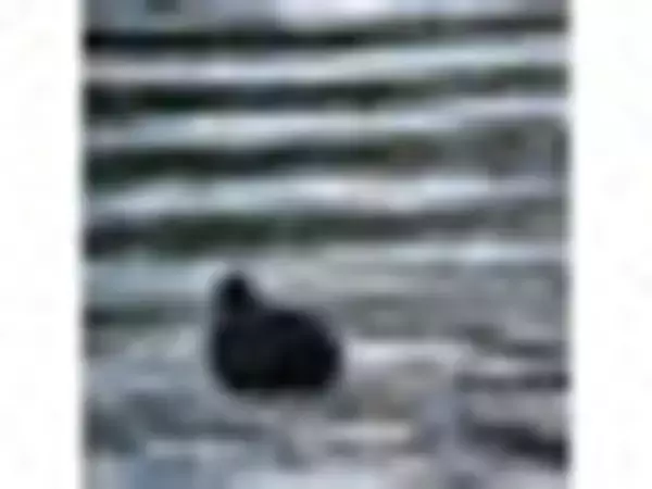 「一味違う！こだわりのひんやりスイーツ♡『ミニストップスイーツ』の「おすすめ」人気ランキングTOP3」の画像