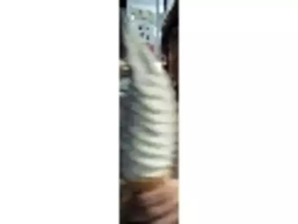 「【認知度18％】コスパ最強のチョコレート「シーシェル」って知ってる？」の画像