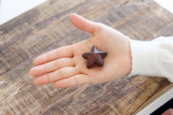 【認知度18％】コスパ最強のチョコレート「シーシェル」って知ってる？