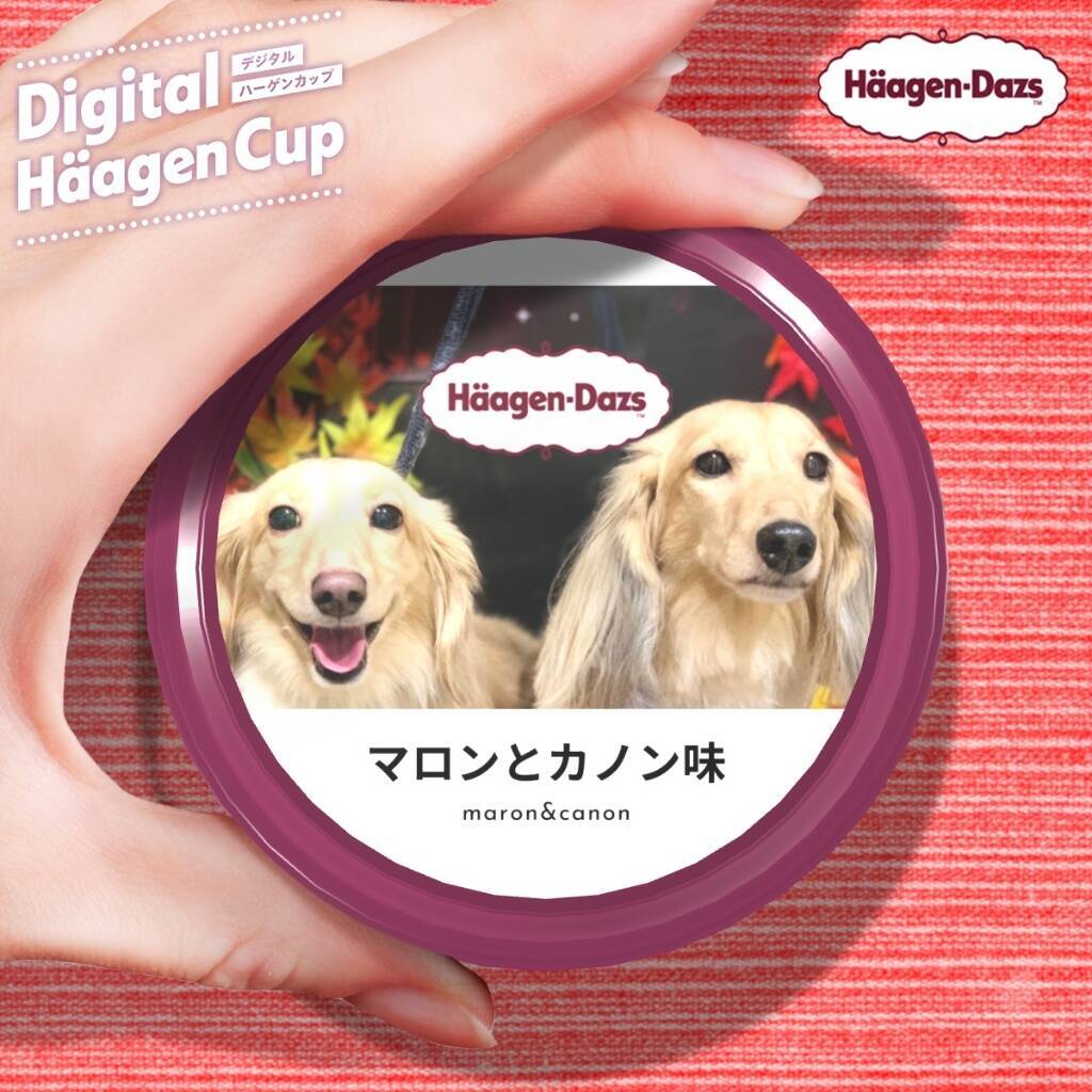 【最新版】美味しくて止まらない！カップうどん人気ランキングのおすすめTOP3！