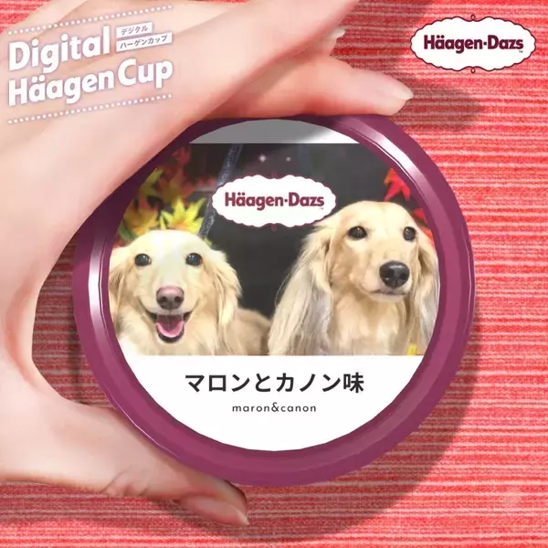 「【最新版】美味しくて止まらない！カップうどん人気ランキングのおすすめTOP3！」の画像
