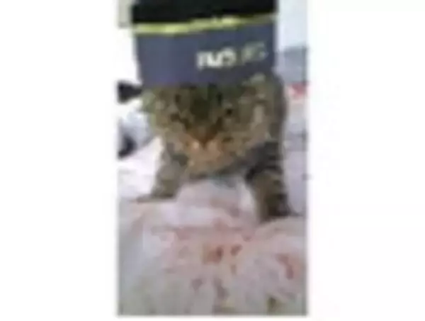 「インスタントコーヒーおすすめランキングBEST10！」の画像