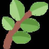 「【5月編】チョコミントマニア「うしくろくん」が選ぶ！おすすめチョコミント5選！」の画像15