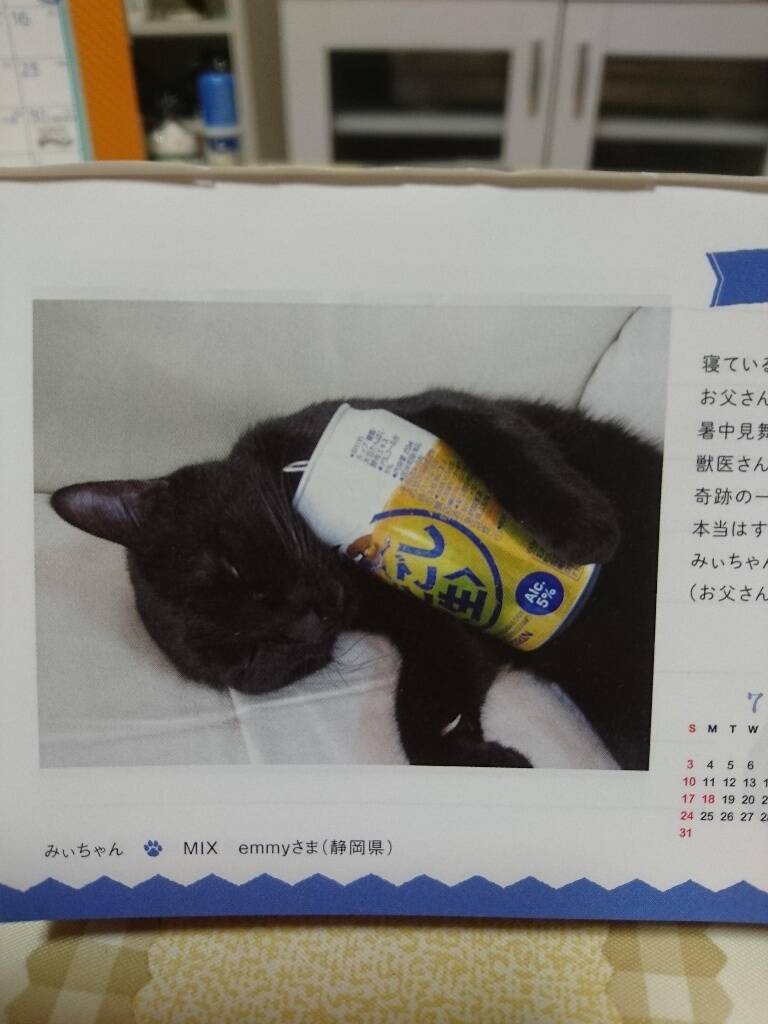 【最新版】冬でも食べたい！アイスの人気ランキングのおすすめTOP3！