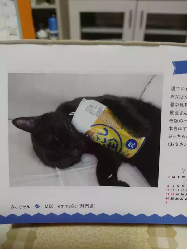 「【最新版】冬でも食べたい！アイスの人気ランキングのおすすめTOP3！」の画像