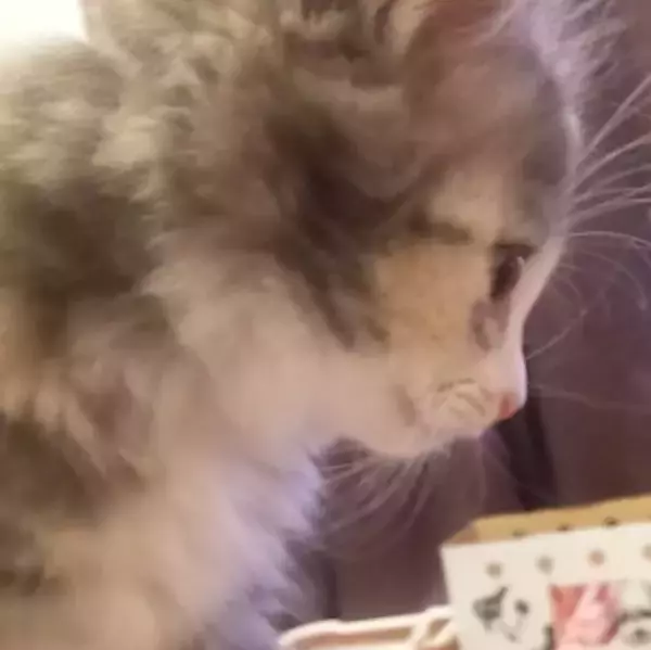 「【最新版】冬でも食べたい！アイスの人気ランキングのおすすめTOP3！」の画像