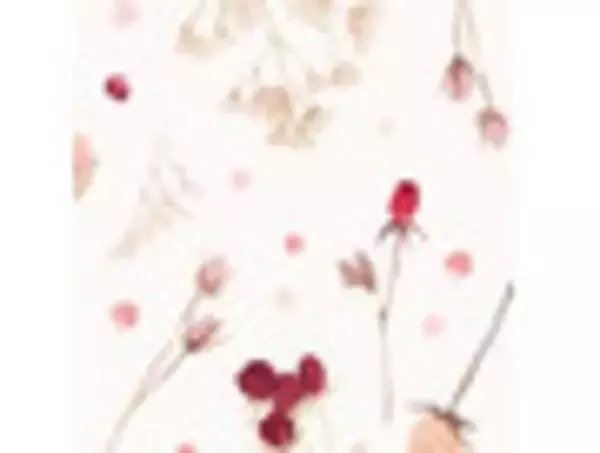 「ファミマの新作マフィンはチョコマシマシ！のアメリカンスタイル！：今週のコンビニパンランキング」の画像