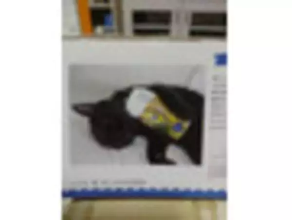 「セブン・ローソンどらどら対決！鎬を削るかぼちゃとチーズ！：今週のコンビニスイーツランキング」の画像