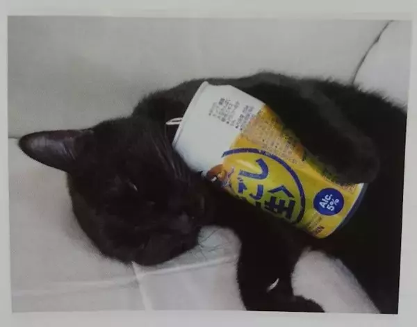 「【最新版】アイスマニアが選んだ！アイスの人気ランキングのおすすめTOP3！」の画像