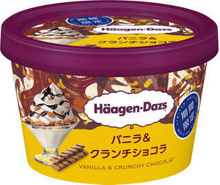 今週新発売のパーソナルアイスまとめ！